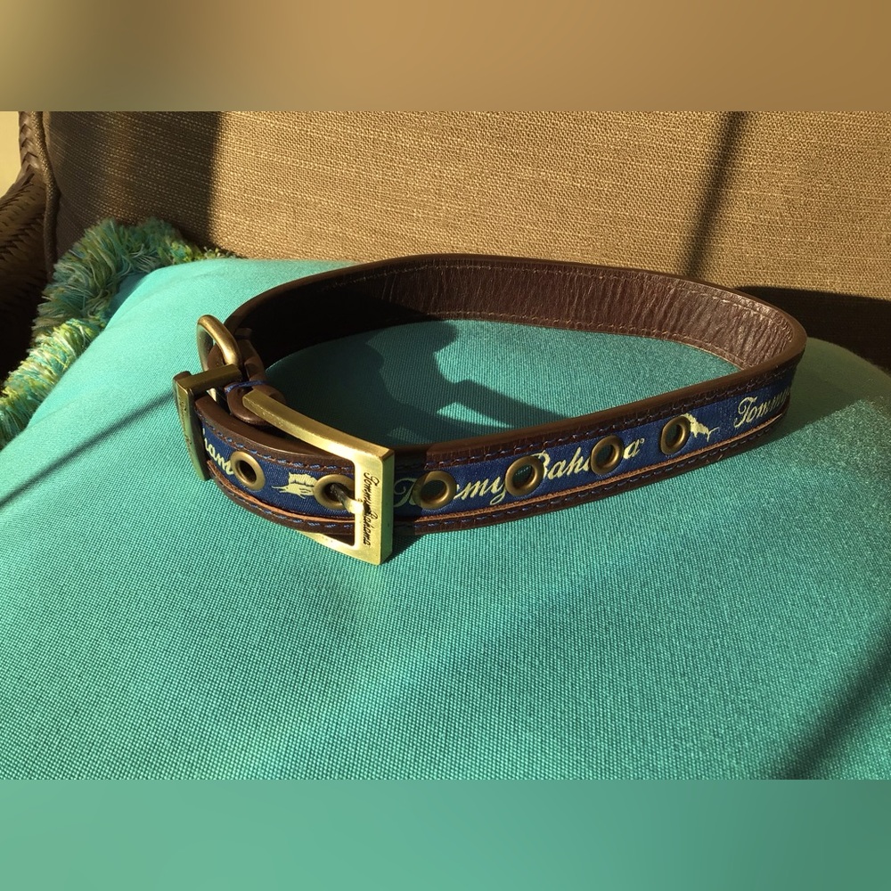 Tommy Bahama (authentic) dog collar. EUC.